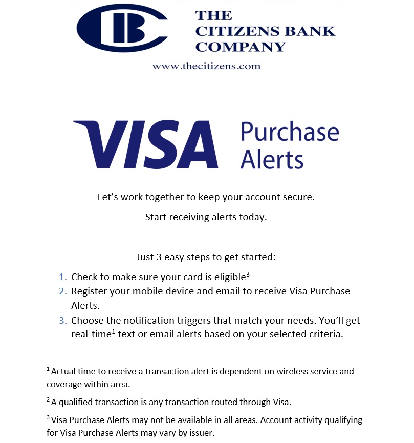 visa purchase alert